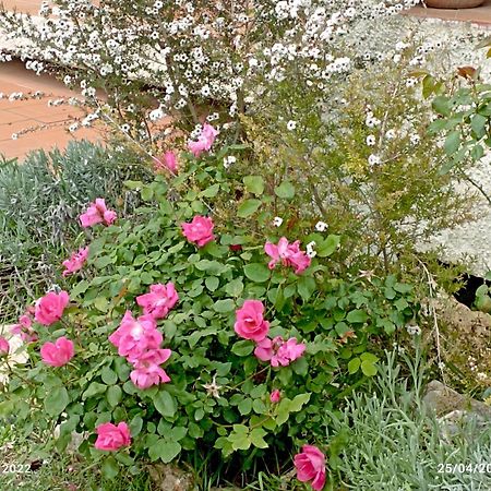 Villa Luna Comeana Εξωτερικό φωτογραφία