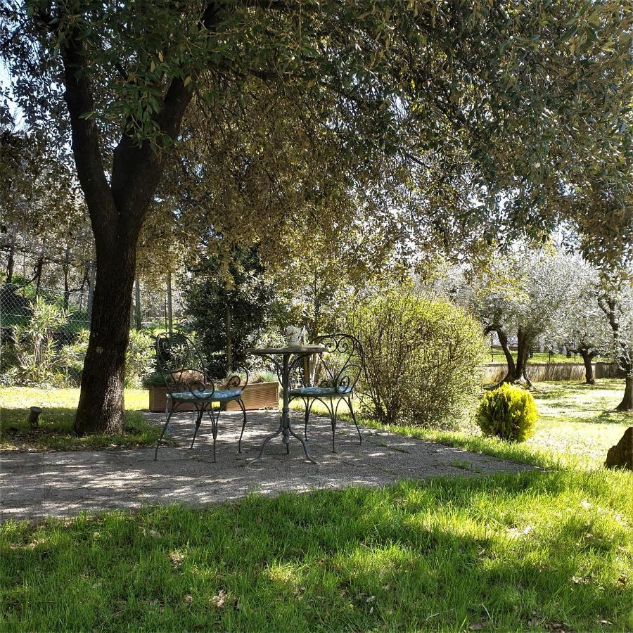 Villa Luna Comeana Εξωτερικό φωτογραφία