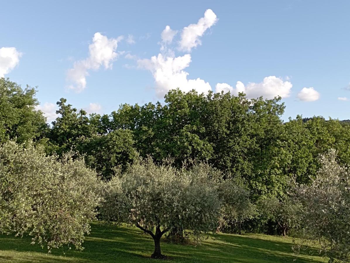 Villa Luna Comeana Εξωτερικό φωτογραφία