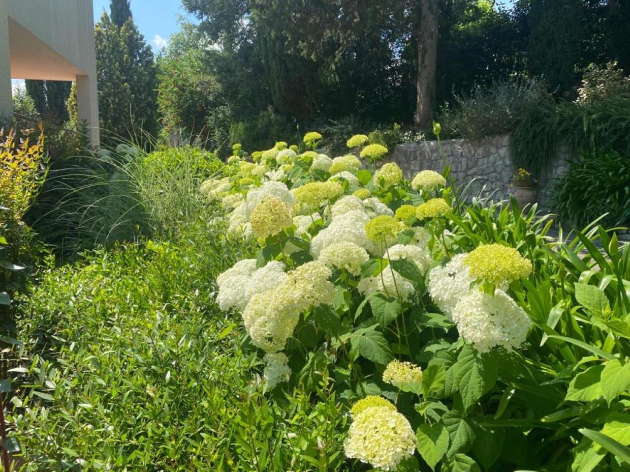 Villa Luna Comeana Εξωτερικό φωτογραφία