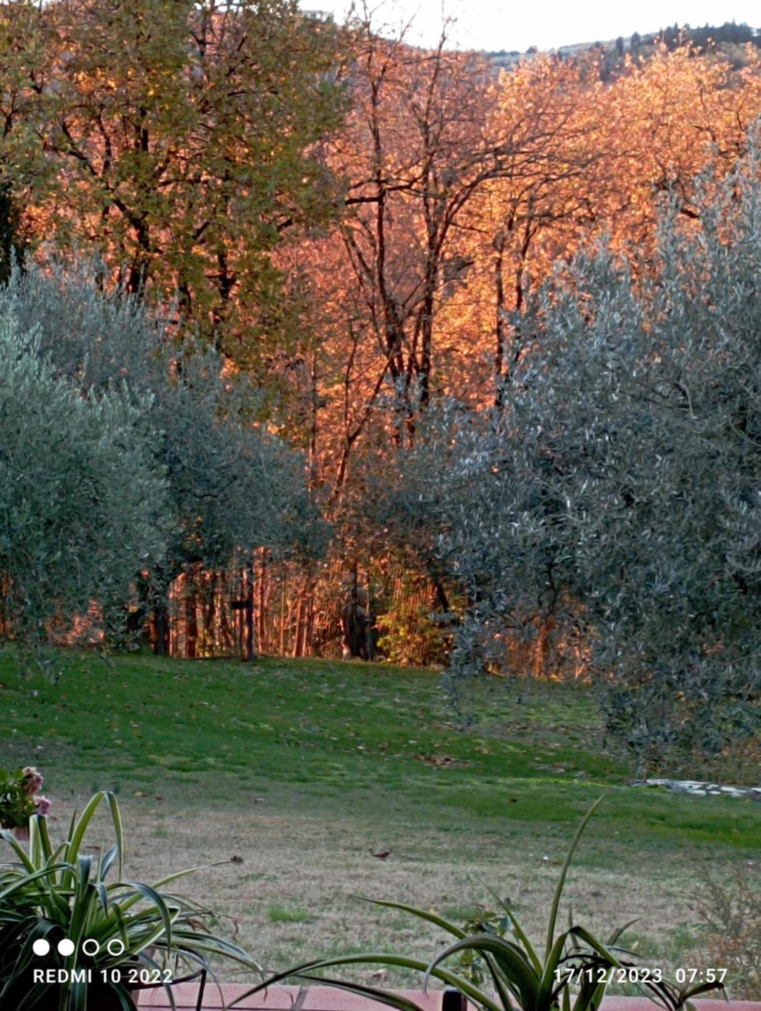 Villa Luna Comeana Εξωτερικό φωτογραφία