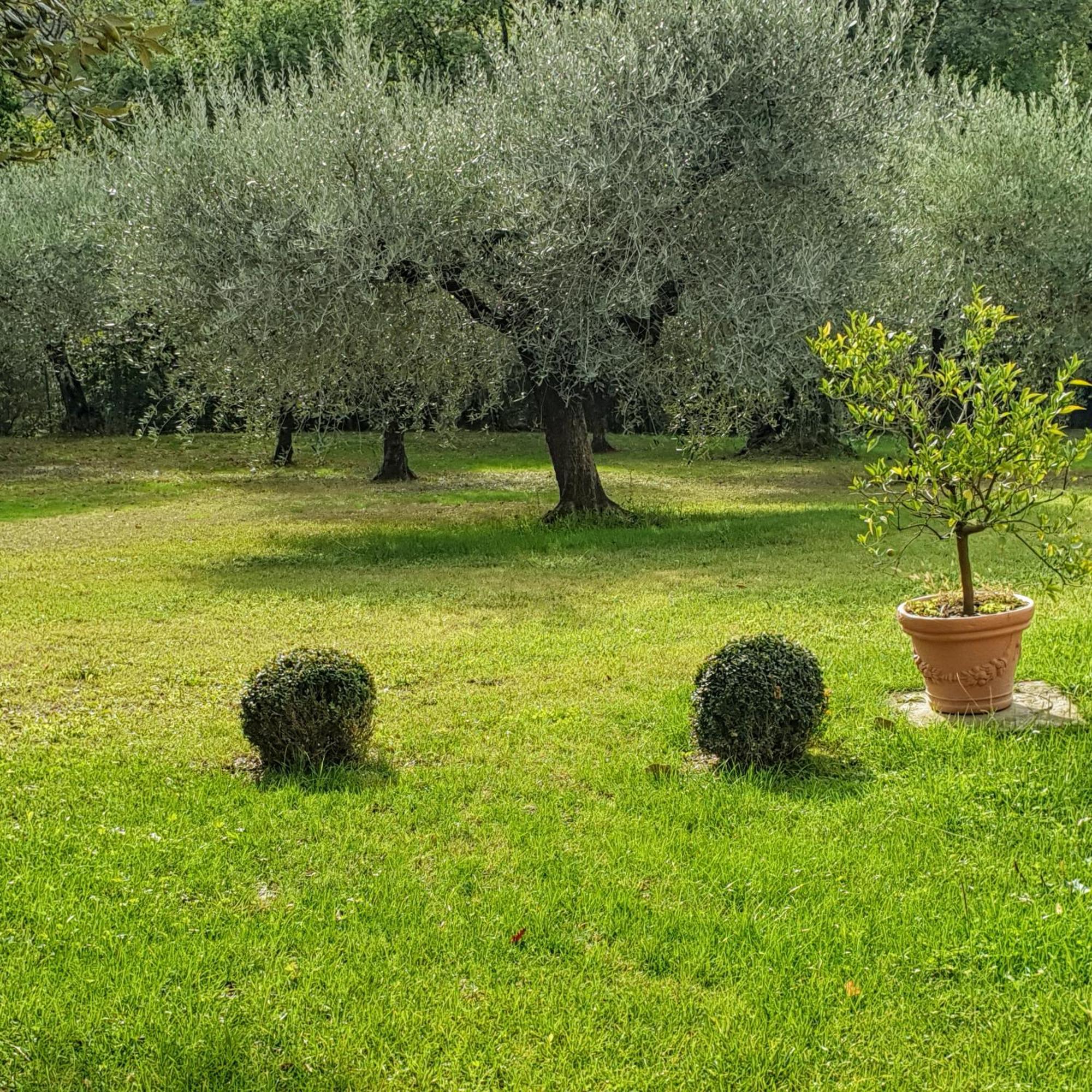 Villa Luna Comeana Εξωτερικό φωτογραφία